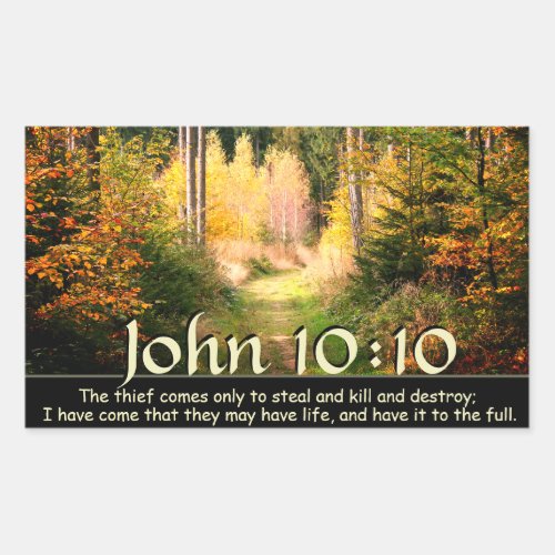 John 1010 I have come that they may have life Rectangular Sticker