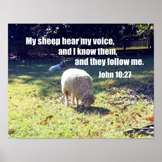 John 10:27 poster (Front)