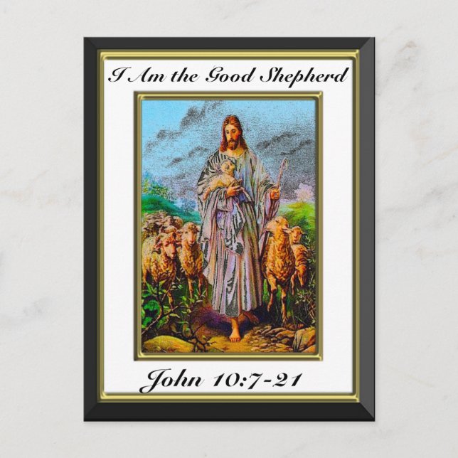 John 10:7-21 I Am the Good Shepherd White Frame Postcard (Front)