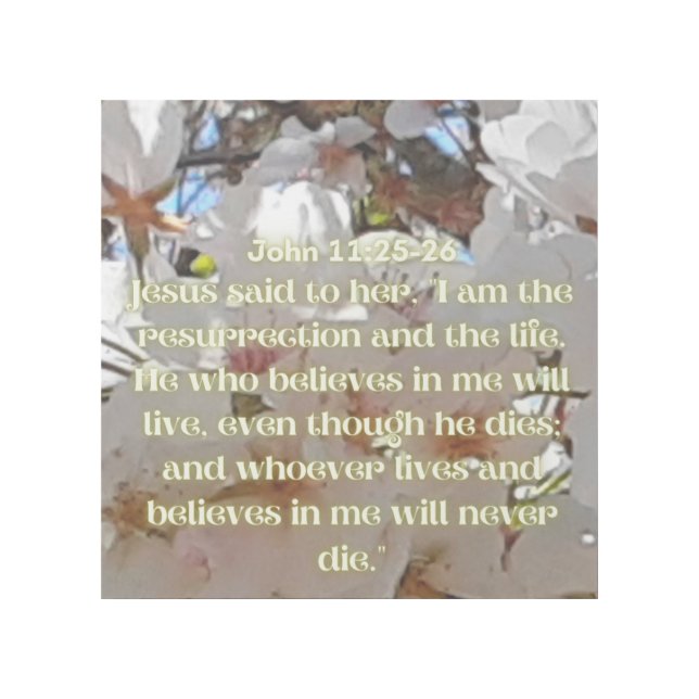 John 11:25-26 gallery wrap (Front)