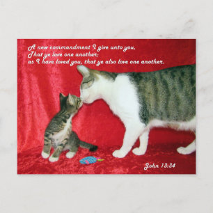 John 13:34 Bible Verse Postcard