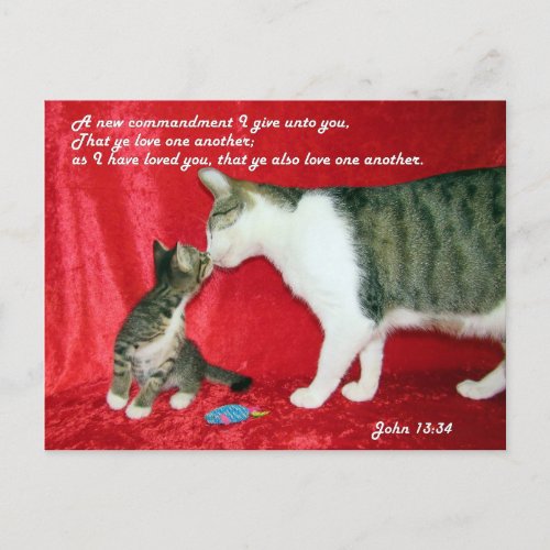 John 1334 Bible Verse Postcard