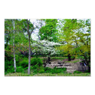 John 14:27 Let not your heart be troubled! Photo Print