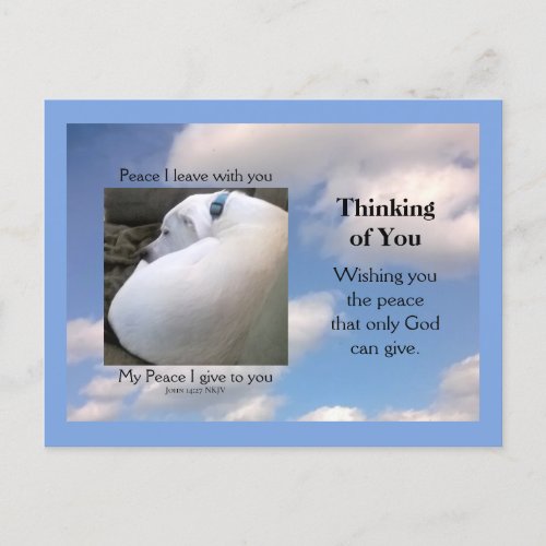 John 1427 My Peace I Give Dog in Cloudy Sky Blue Postcard