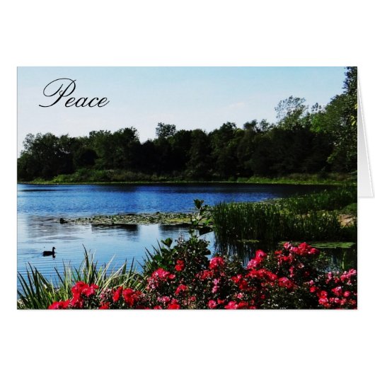 John 14:27 Peace Card (Front Horizontal)