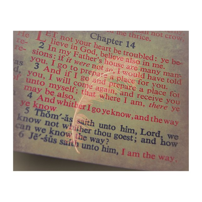 John 14 Bible Verses Wood Wall Decor (Front)