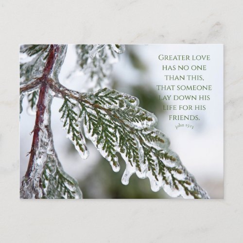 John 1513 Icy Evergreen Postcard