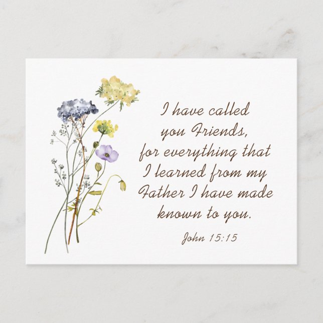 John 15:15 I have called you friends Bible Verse Postcard (Front)