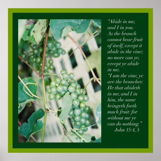 John 15: 4, 5  Scripture Poster (Front)