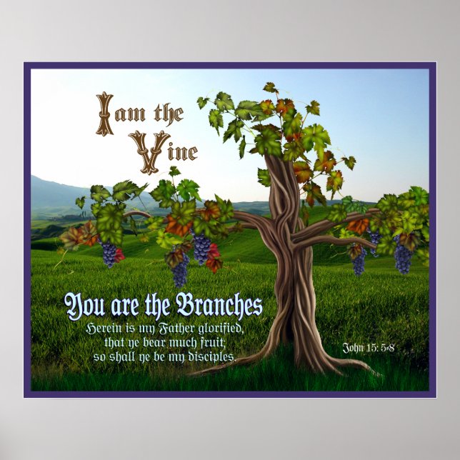 John 15: 5-8 Grape Vine Scripture Poster (Front)