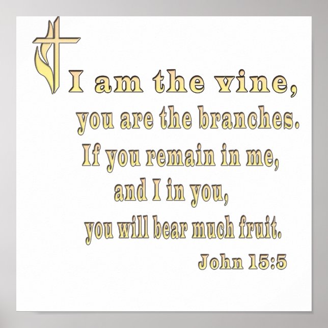 John 15:5 clothing and more poster (Front)