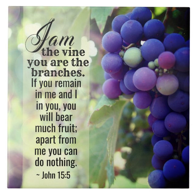 John 15:5 I Am the Vine You are the Branches Bible Ceramic Tile (Front)