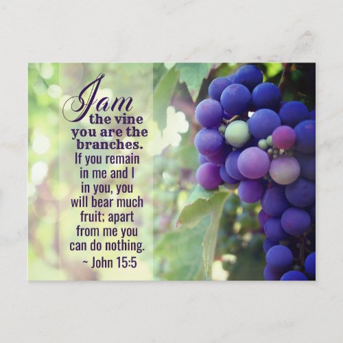 John 155 I Am the Vine You are the Branches Bible Postcard