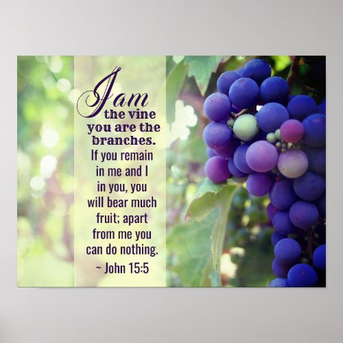 John 155 I Am the Vine You are the Branches Bible Poster