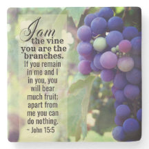 John 15:5 I Am the Vine You are the Branches Bible