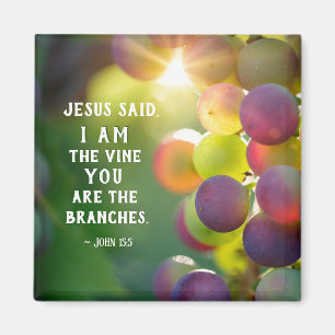 John 15:5 I Am the Vine You are the Branches Jesus Magnet