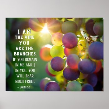 John 15:5 I Am The Vine You Are The Branches Jesus Poster by CChristianDesigns at Zazzle