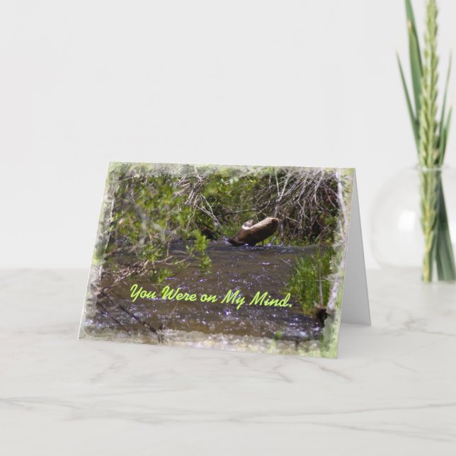 John 16:33 Encouragement card (Front)