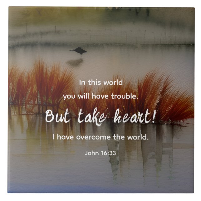 John 16:33 I have Overcome Bible Verse Christian Ceramic Tile (Front)