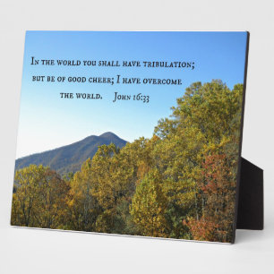 John 16:33 In the world ye shall have tribulation. Plaque