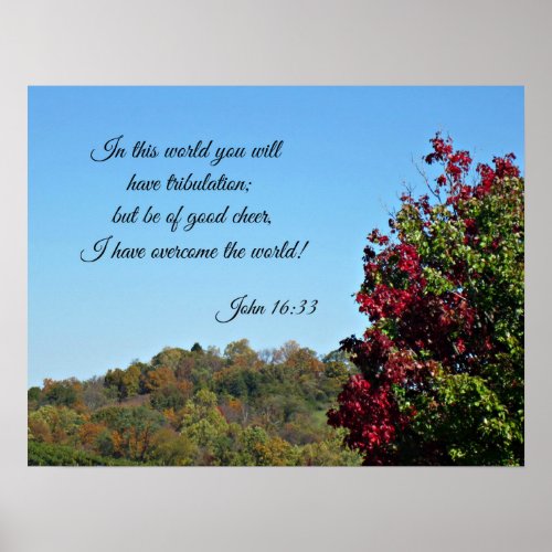 John 1633 In the world you will have Poster