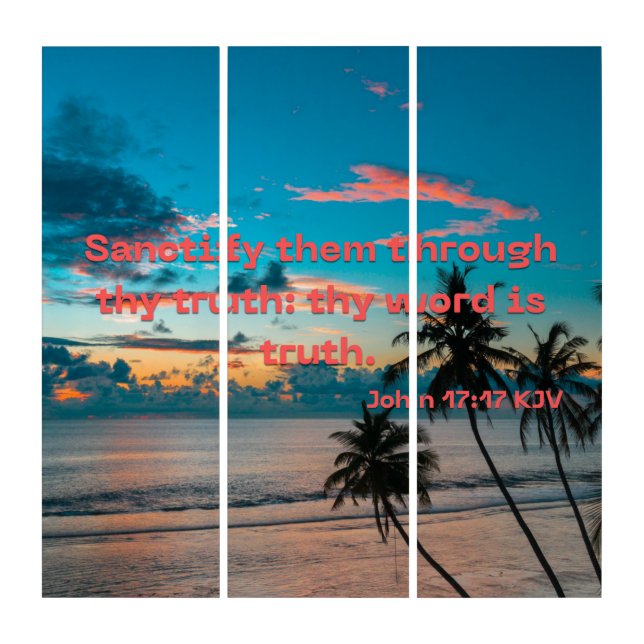 John 17:17 Bible Verse Scripture KJV Pic Wall Art (Front)