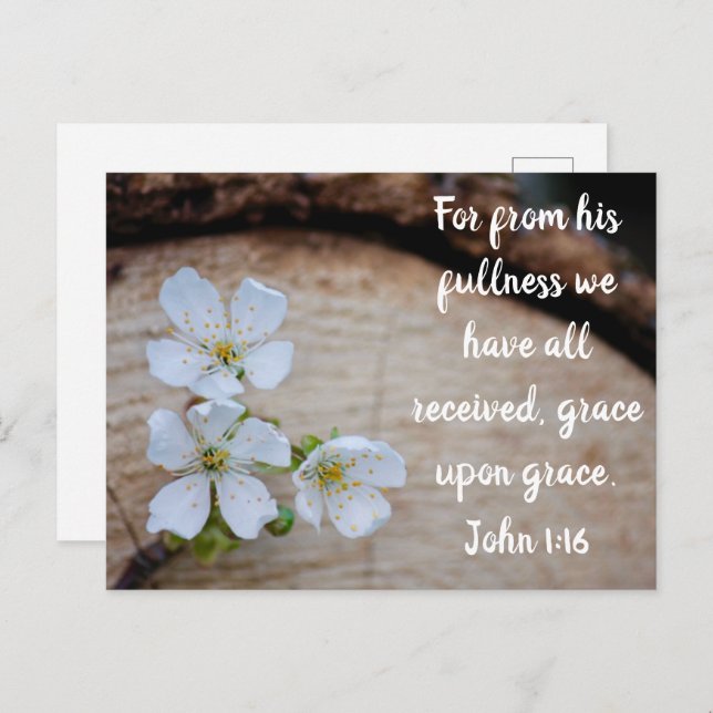 John 1:16 Wild Cherry Flowers Postcard (Front/Back)