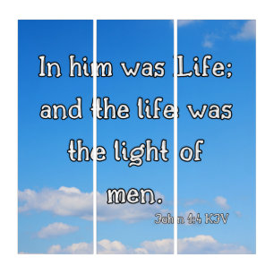 John 1:4 KJV Bible Verse Pic Wall Art