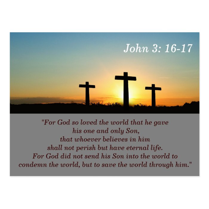 John 316 17 Scripture Memory Card Post Cards