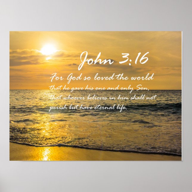John 3:16 #2 NIV - Scripture Christian Wall Art (Front)