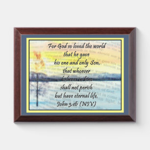 John 3:16  award plaque