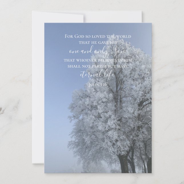 John 3:16 Custom Text | Snow Nature Original Photo Holiday Card (Front)