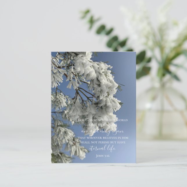 John 3:16 Custom Text | Snow Nature Original Photo Postcard (Standing Front)
