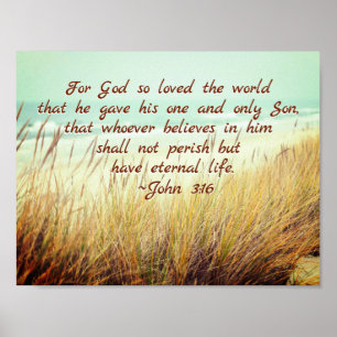 John 3:16 For God so loved the world, Bible Verse Poster