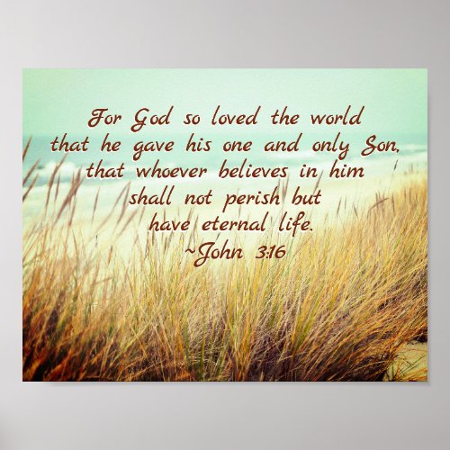 John 316 For God so loved the world Bible Verse Poster