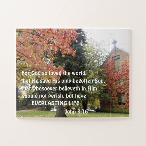 John 316 For God so loved the world Jigsaw Puzzle