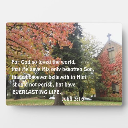 John 316 For God so loved the world Plaque
