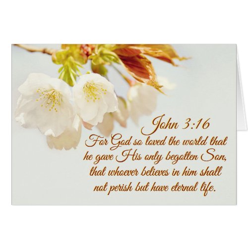 John 316 God so loved the world Scripture Card