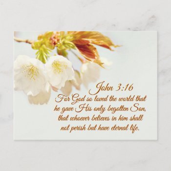 John 3:16 God So Loved The World  Scripture Postcard by CChristianDesigns at Zazzle