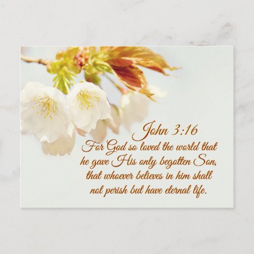 John 316 God so loved the world Scripture Postcard