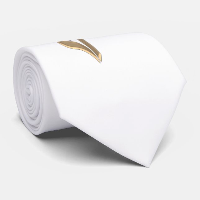 John 3:16 items neck tie (Rolled)
