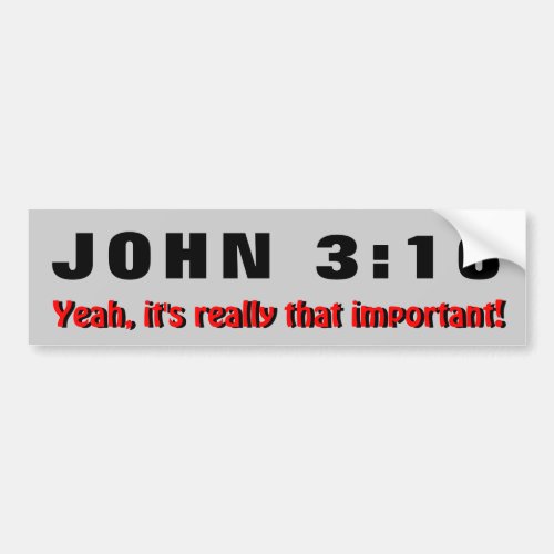 John 316 its  Really That Important Bumper Sticker