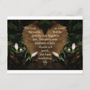john 3:16 king james on heart leaf postcard