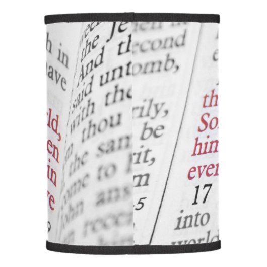 John 3:16 lamp shade (Back)