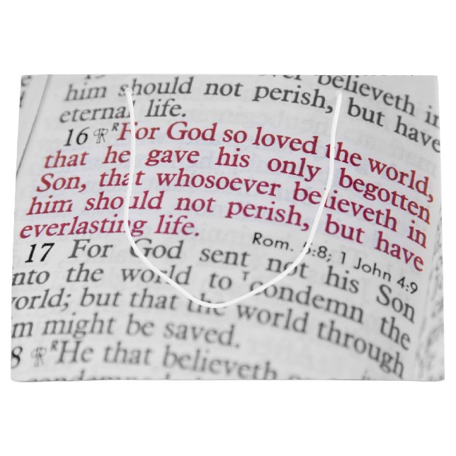 John 3:16 large gift bag (Front)