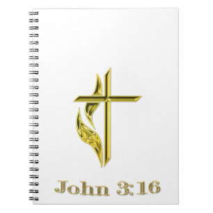 John 3:16 notebook
