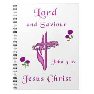John 3:16 notebook