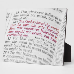 John 3:16 plaque