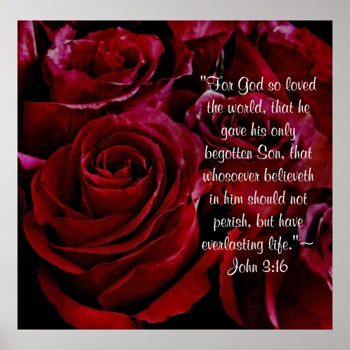 John 3:16 red roses print | Zazzle