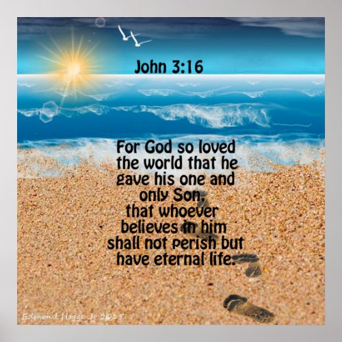 John 316 Scripture Poster